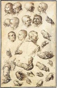 Sheet Of Studies Of Heads, Arms, Hands And A Youth Seen From Behind by Andries Jacobsz. Stock