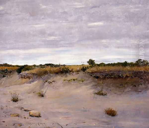 Wind Swept Sands, Shinnecock, Long Island - view 1