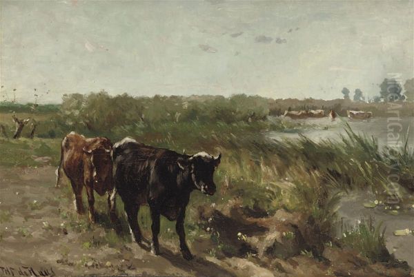 Cows Near A River - view 1