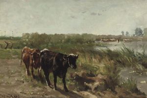 Cows Near A River