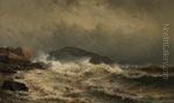 Rocky Coast, New England - view 1