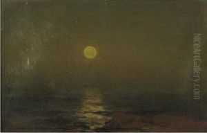 Moonlight Moonlight