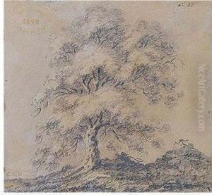 Arbol by Carlos de Haes