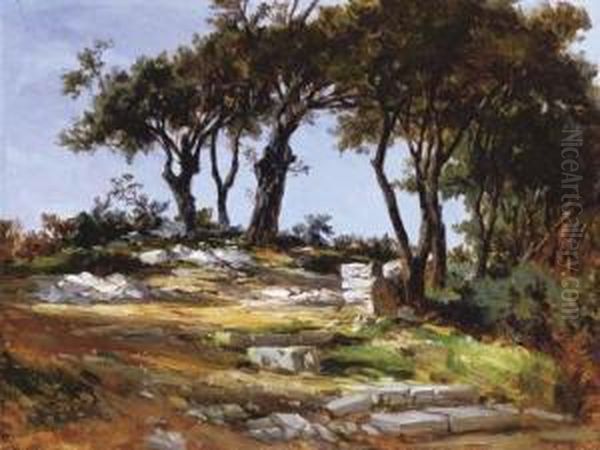 Paisaje De Piedra En Aragon - view 1