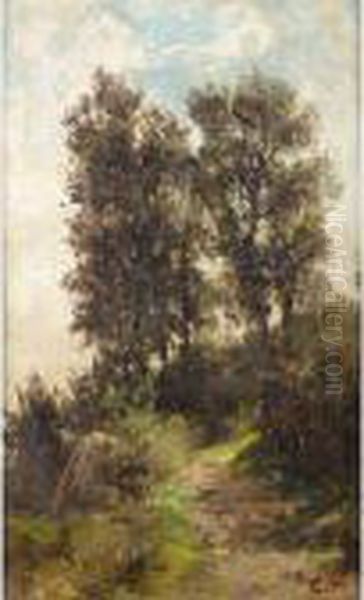 Landscape Study - view 1