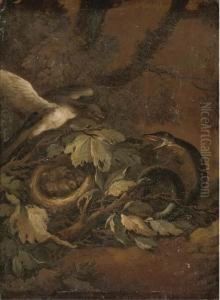 A Snake Startling A Bird And A Nest Of Chicks On A Forestfloor