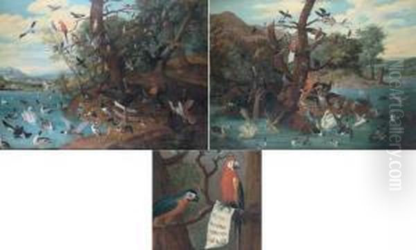 Le Parlement Des Oiseaux - view 1