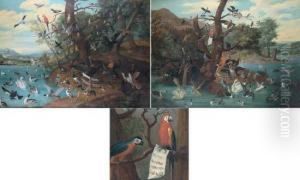  Le Parlement Des Oiseaux 