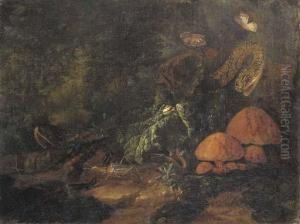 A Forest Floor Still Life With Snakes, Butterflies, Snails, Agrasshopper And A Lizard by Carl Wilhelm de Hamilton