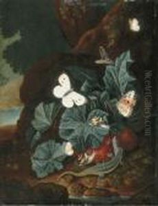 A Forest Floor Still-life With A Lizard, Butterflies, Snails And Asnake by Carl Wilhelm de Hamilton