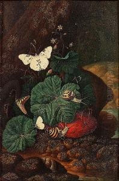 A Forest Floor Still Life With A
Lizard, Snails And Butterflies; And A Forest Floor Still Life With A
Snake, Snails And Butterflies - view 1