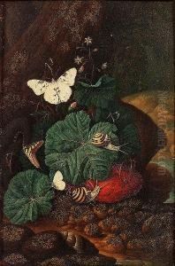 A Forest Floor Still Life With A
 Lizard, Snails And Butterflies; And A Forest Floor Still Life With A 
Snake, Snails And Butterflies by Carl Wilhelm de Hamilton