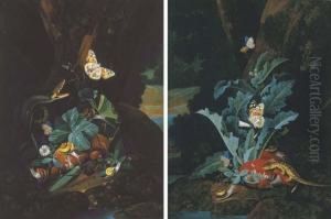A Forest Floor Still Life With A
 Snake, Butterflies, Snails And A Grasshopper; And A Forest Floor Still 
Life With A Lizard, Butterflies And Snails by Carl Wilhelm de Hamilton