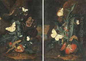 Forest Floor Still Lifes With A
Snake, Butterflies, Lizards, Snails, Thistle And Convolvulus by Carl Wilhelm de Hamilton
