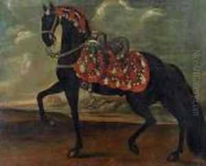 A Black Stallion, Possibly A 'lipizzaner' With An Elaborate Saddle Performing A 'piaffe'