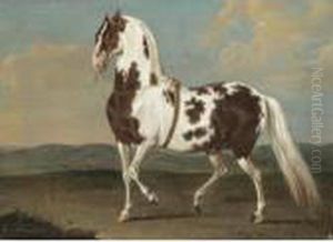 Portrait Of A Dressage Stallion In A Landscape