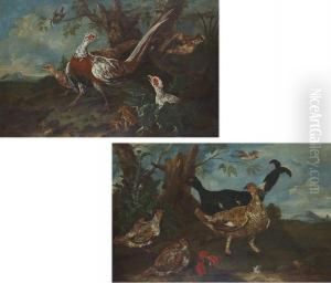 Pheasant In A Landscape; And A Pheasant And Other Birds by Ferdinand Phillip de Hamilton