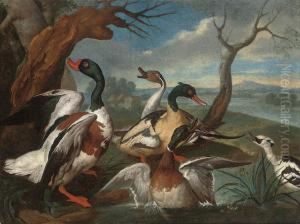 A Shellduck, A Pintail, A Mallard, And Other Ducks On The Bank Of A River by Ferdinand Phillip de Hamilton