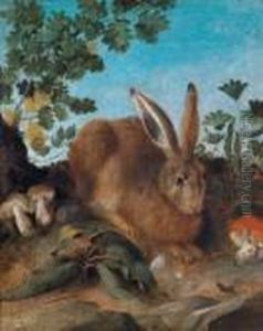 Una Lepre Tra Funghi E Foglie by Ferdinand Phillip de Hamilton