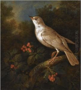 A Songbird On A Branch In A Wooded Landscape, Near A Currantbush