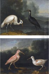 Curlew And A Greenshank In A
Landscape (#) An Egret And A Black Stork In A
Landscape by Ferdinand Phillip de Hamilton