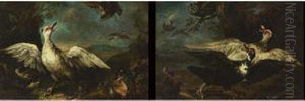 Ducks, A Finch And Other Birds Assailed By Hawks In A Wooded Landscape;
Ducks, A Kingfisher, An Owl And Other Birds Assailed In A Wooded Landscape - view 1