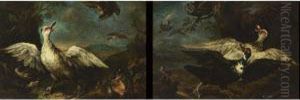 Ducks, A Finch And Other Birds Assailed By Hawks In A Wooded Landscape;
 Ducks, A Kingfisher, An Owl And Other Birds Assailed In A Wooded Landscape
