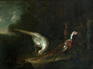 Pheasants In A Wooded Glade by Ferdinand Phillip de Hamilton