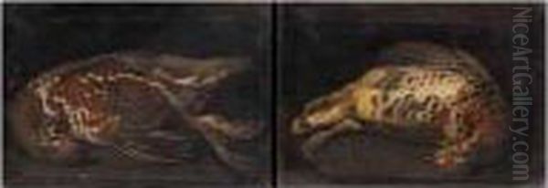 Studies Of Grouse - view 1