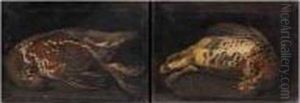 Studies Of Grouse