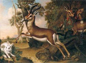 Antelope With A Hare In A Landscape
