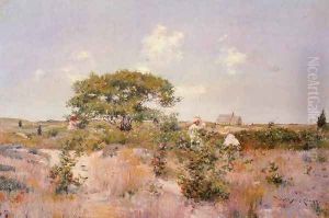 Shinnecock Landscape