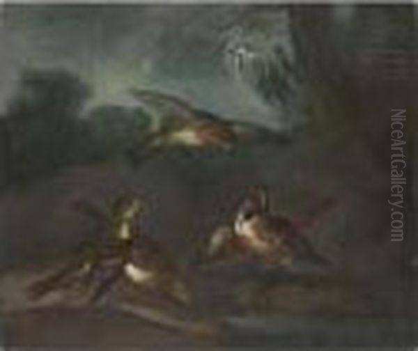 Songbirds Drinking From A Pool In A Landscape - view 1
