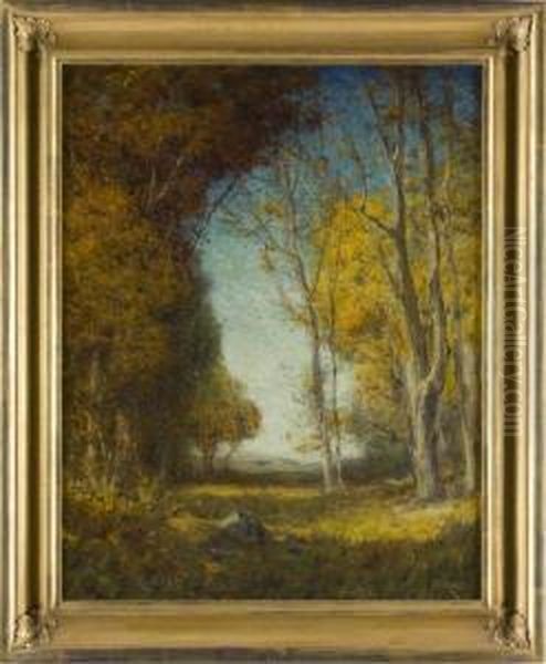 Landscape - view 1