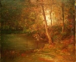 Forest Landscape
