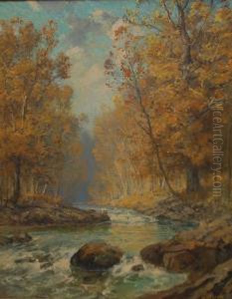 Landscape - view 1
