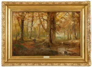 A Walk In The Woods by Franklin De Haven