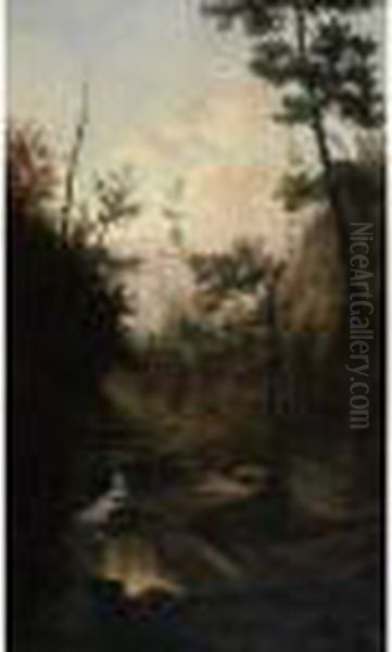 Woodedlandscape With Stream - view 1