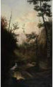 Woodedlandscape With Stream Woodedlandscape With Stream
