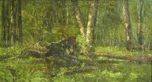 Fallen Tree by Franklin De Haven