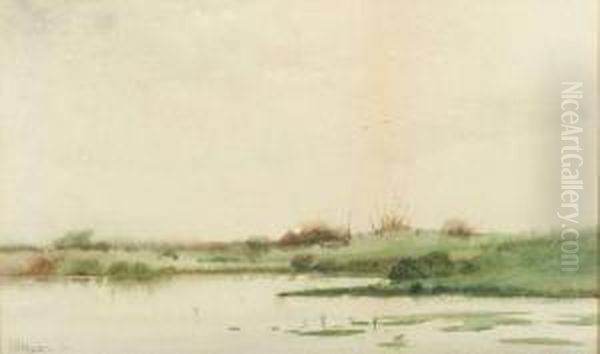 Marsh View - view 1