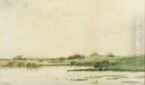 Marsh View by Franklin De Haven