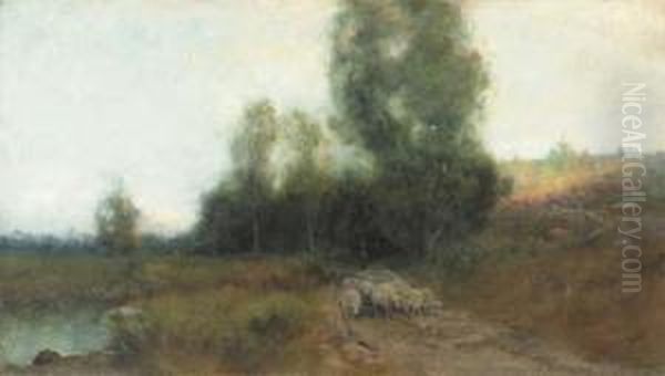 Sheep At Twilight - view 1