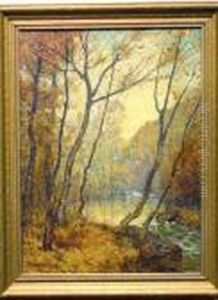Water Beeches (twilight)