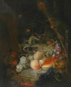 Still Life With Fruit And Butterflies by Cornelis De Heem