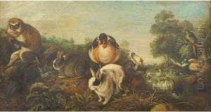 Orpheecharmant Les Animaux Orpheecharmant Les Animaux