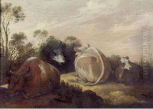 Cattle Resting In A Dune Landscape Cattle Resting In A Dune Landscape