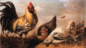 A Hen And Chicks In A Landscape