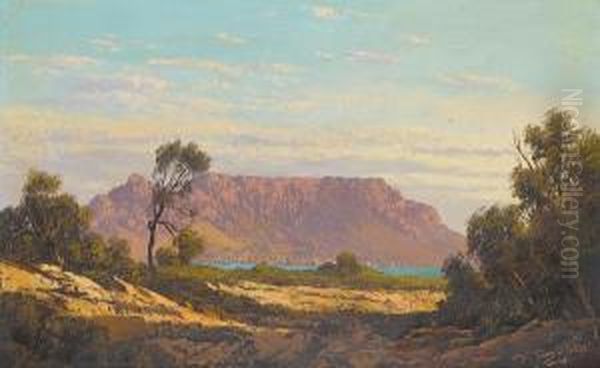 Table Mountain From Milnerton - view 1