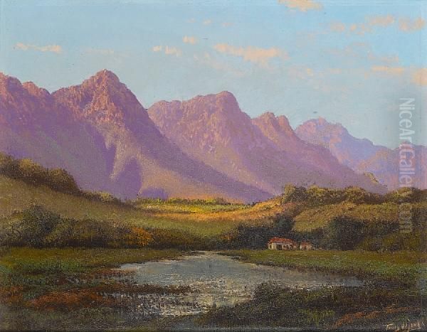 The Purple Mountains - view 1
